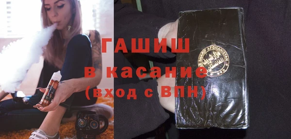 сатива Сатка