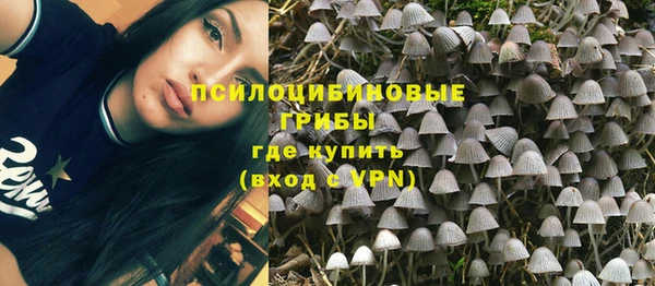 ПСИЛОЦИБИНОВЫЕ ГРИБЫ Саяногорск