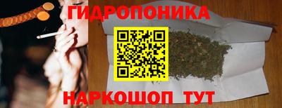 бошки Дубна