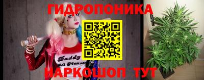 бошки Дубна