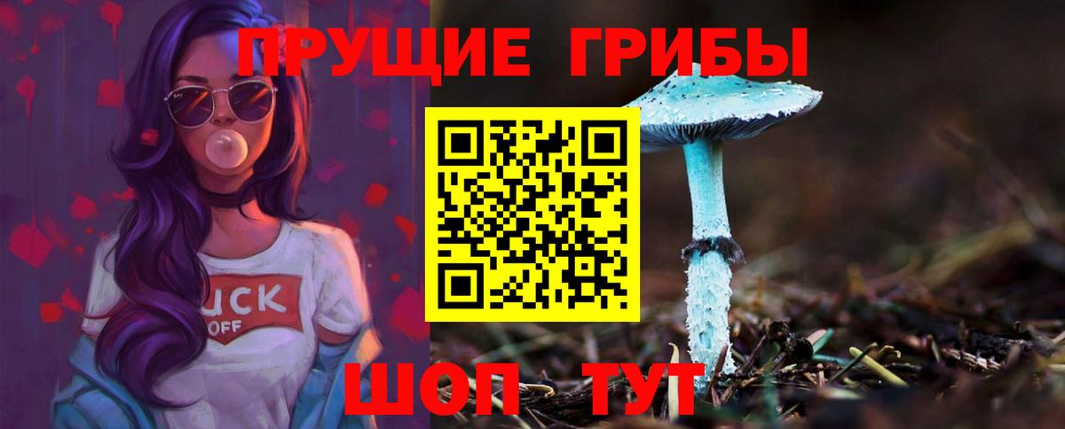 Нижневартовск  Псилоцибиновые грибы ЛСД  Вход с VPN 